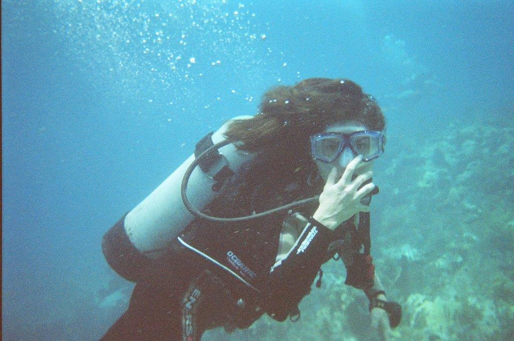 Under The Sea